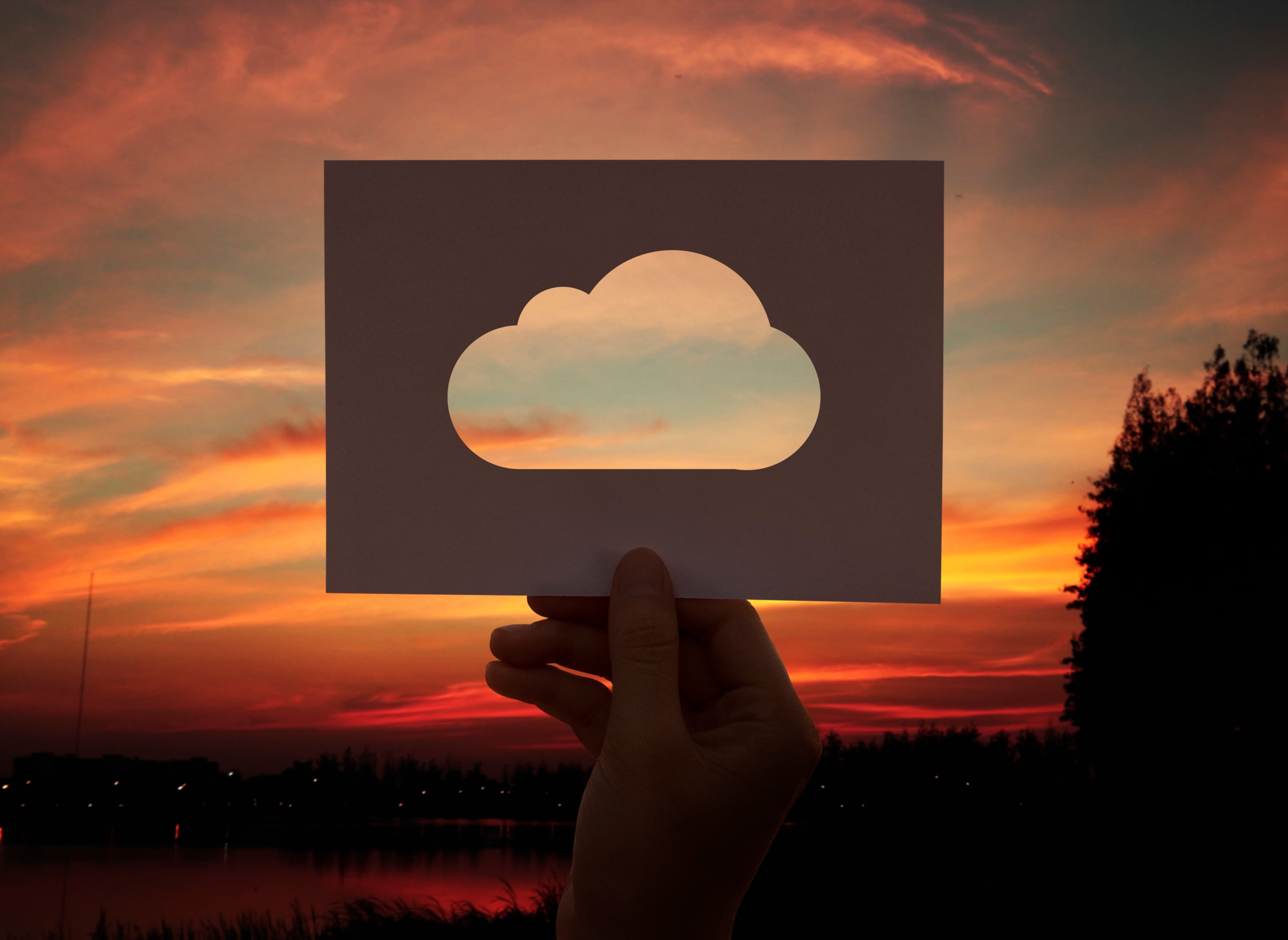 The Future Is in the Cloud Why Every Business Needs to Go Cloud-Native Now